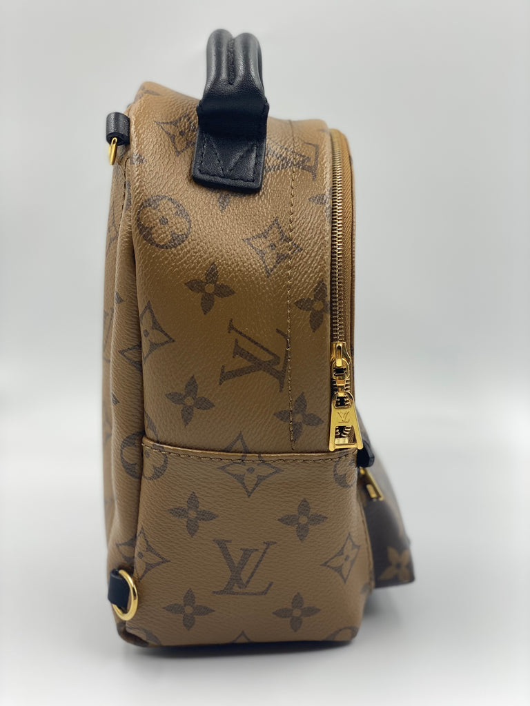 Louis Vuitton LV Palm spring mini backpack reverse Brown Leather ref.299723  - Joli Closet