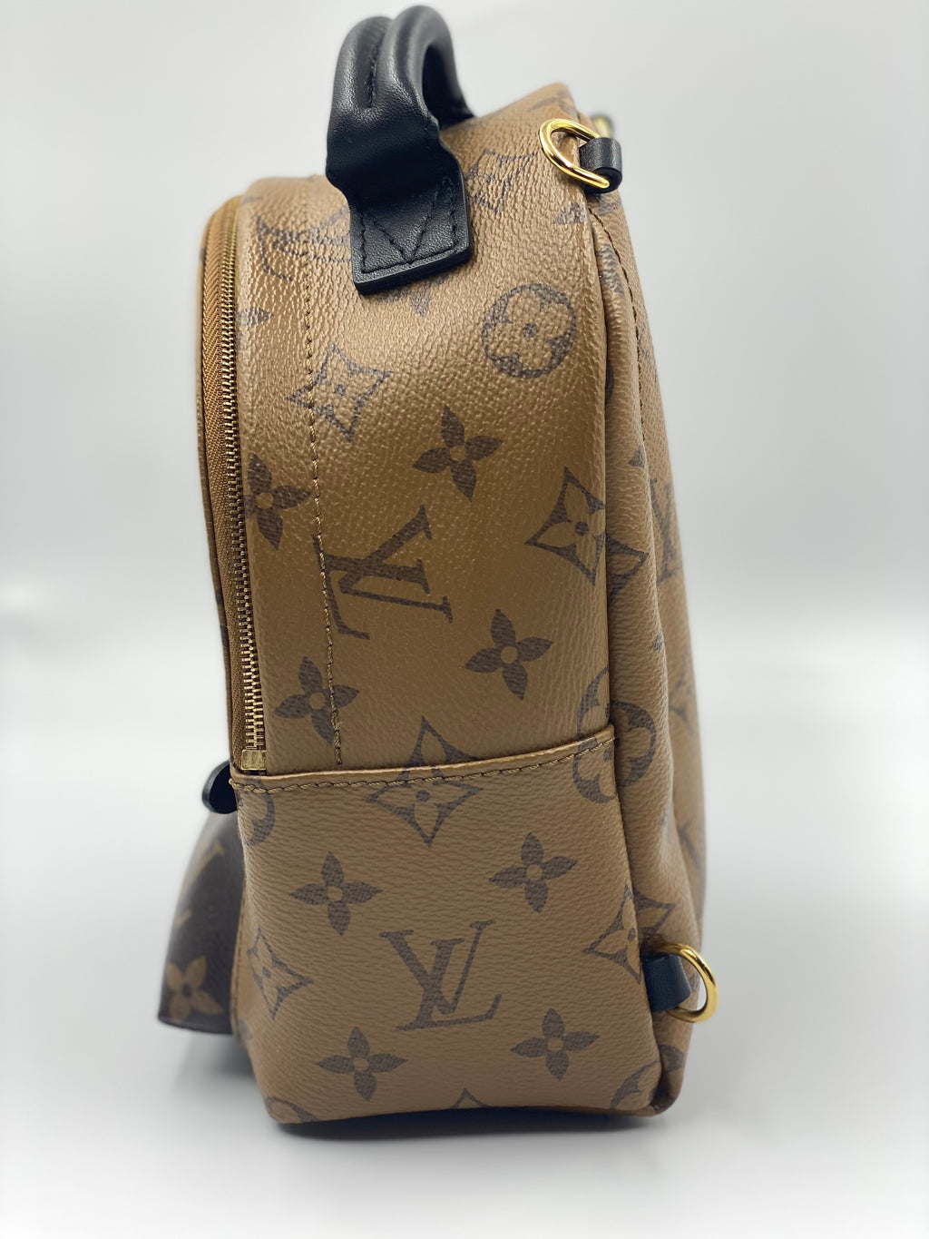 A Closer Look: Louis Vuitton Palm Springs Backpack