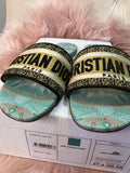 Preloved Christian Dior Dway Slide