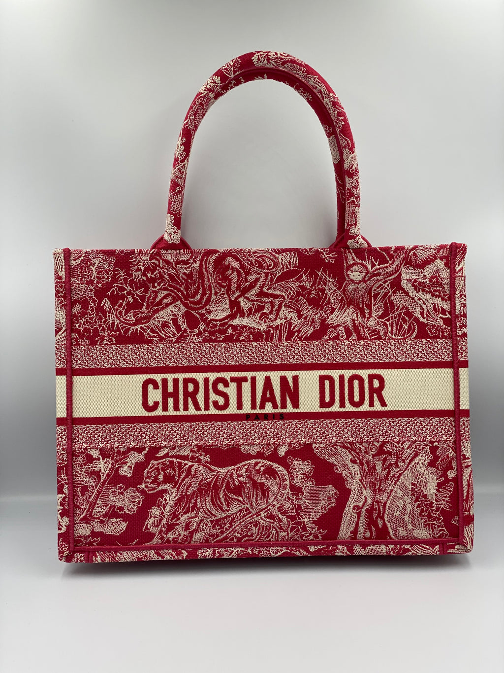 Christian Dior Book Tote Large Tote Bag in Canvas, Hardware