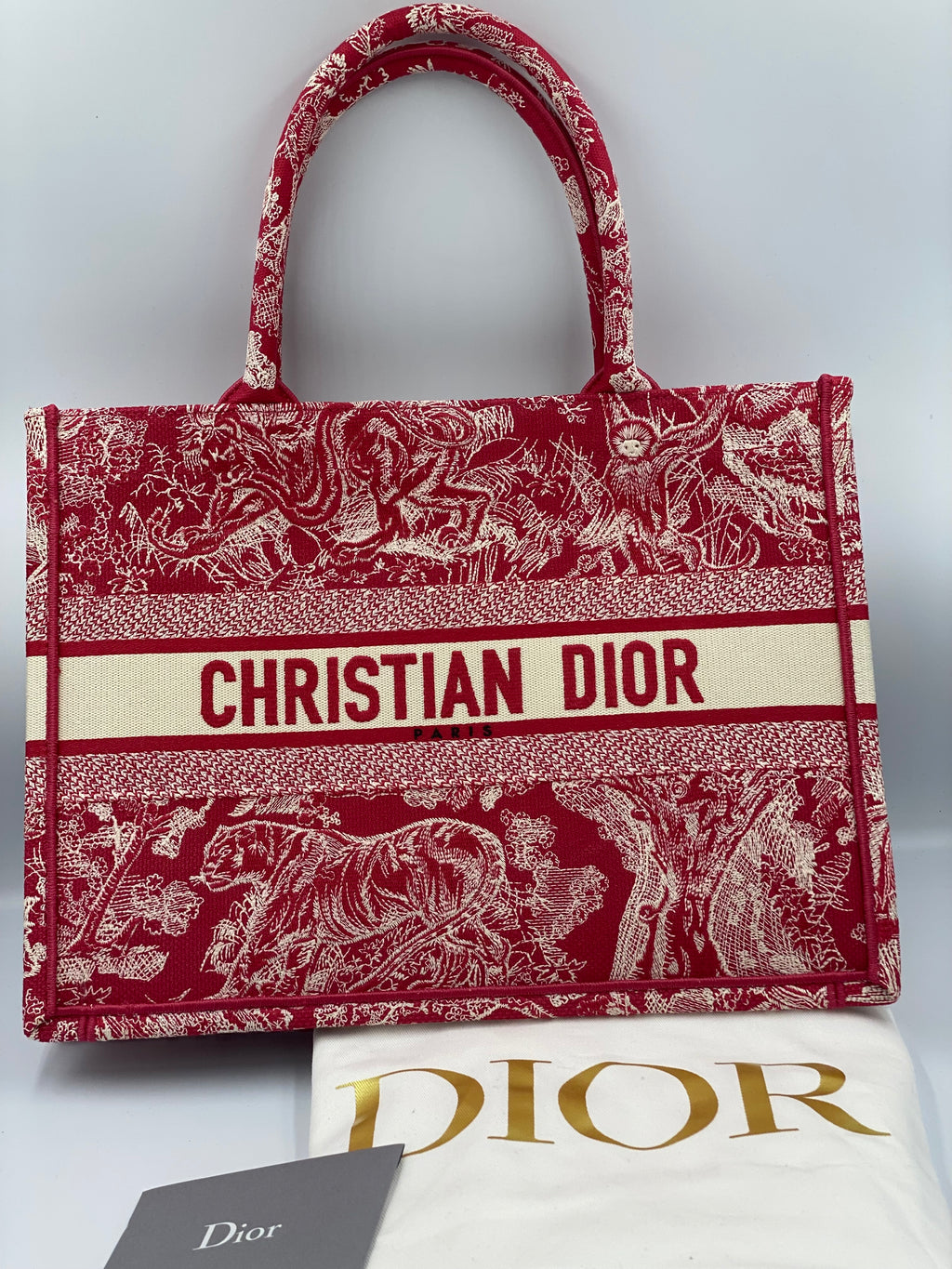 Brand New Dior Book Tote Small